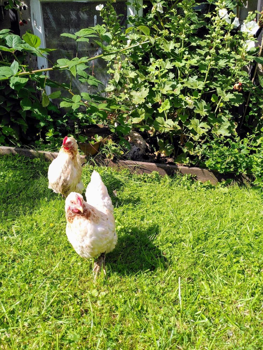 Laegenhet Naturnaera I Henån Εξωτερικό φωτογραφία